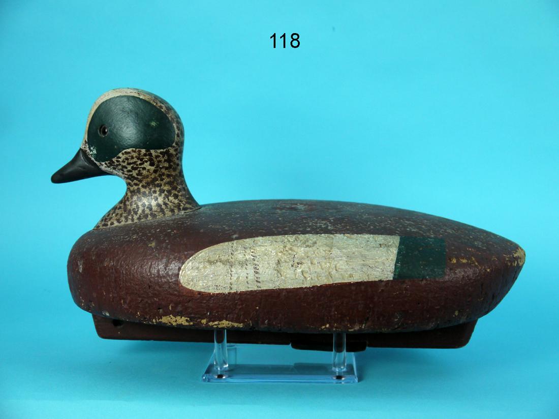 WIGEON DRAKE, LONG ISLAND, NY (1 of 4)