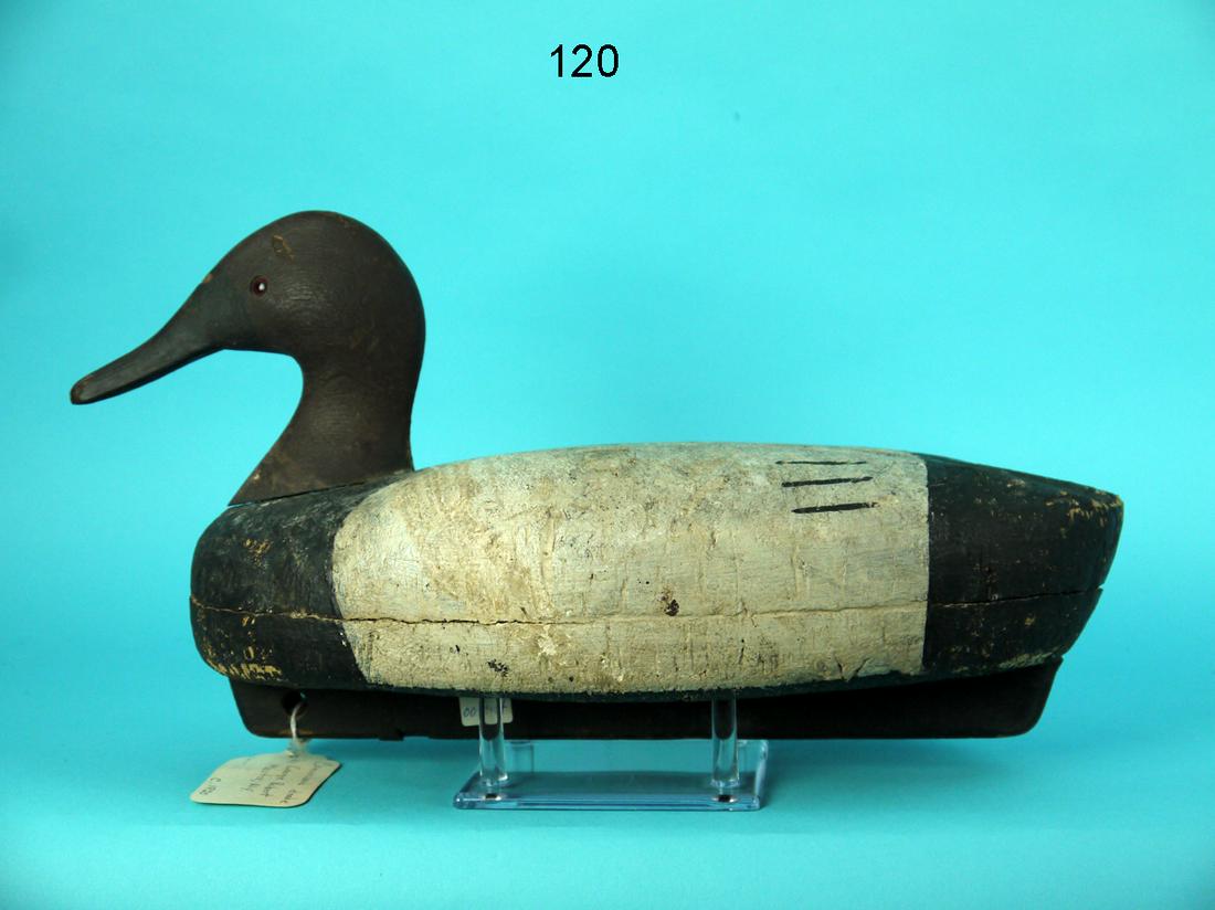 CANVASBACK DRAKE, G. ROBERT (1 of 4)