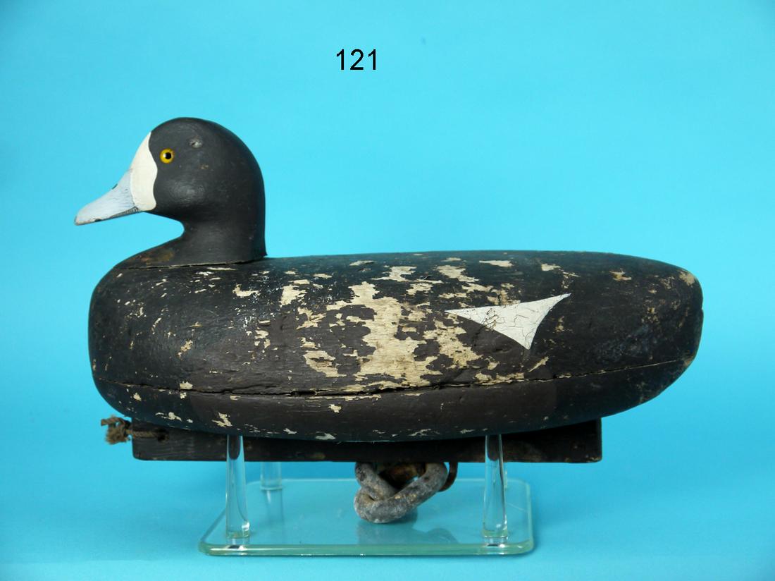 BLUEBILL HEN, W.L. SUYDAM RIG (1 of 4)