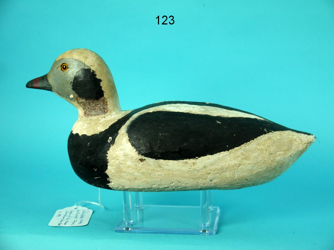 OLD SQUAW DRAKE, E. JAYNE: EARLY OLD SQUAW DRAKE by Everett Jayne, Head-of the-Harbor (Smithtown-Stoney Brook), NY, circa 1940. Good working paint and structural condition. Very small chip to underside of bill. Cork constructio