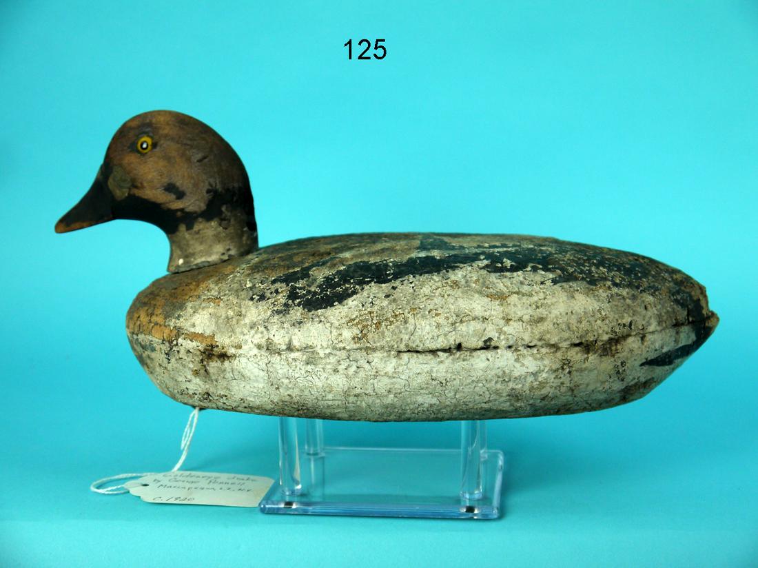 EARLY GOLDENEYE DRAKE, G. PENNELL (1 of 4)