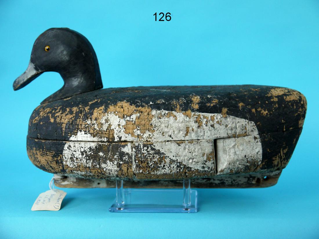 BROADBILL DRAKE, J. BOYLE (1 of 4)