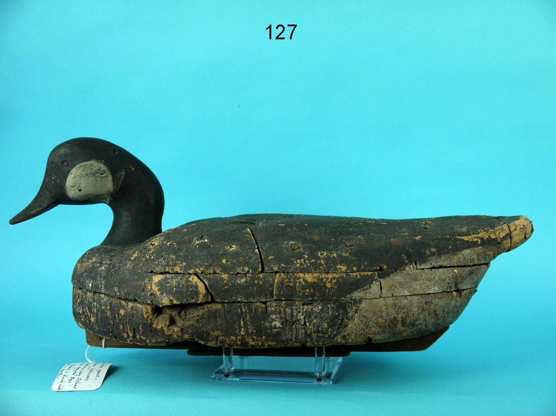 CANADA GOOSE, LONG ISLAND (1 of 4)