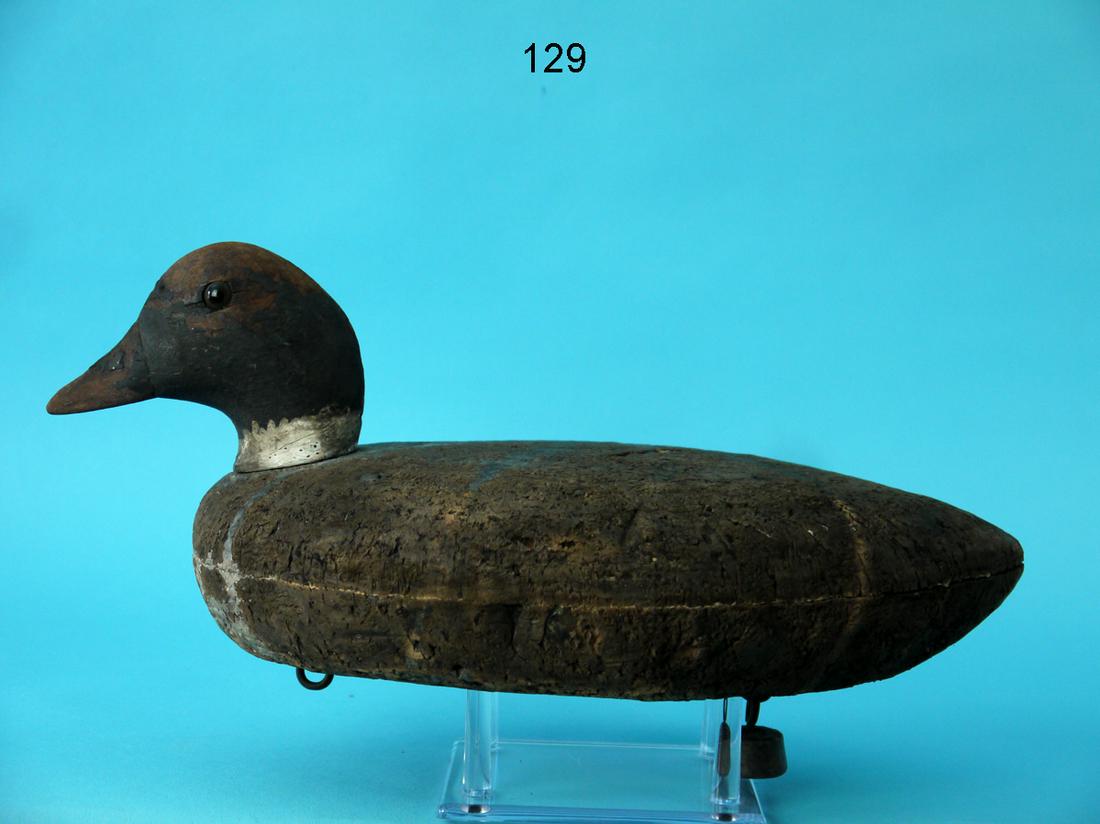 GOLDENEYE HEN, LONG ISLAND, NY (1 of 4)