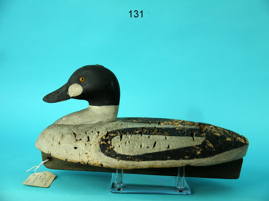 GOLDENEYE DRAKE, C. HOWELL (1 of 4)