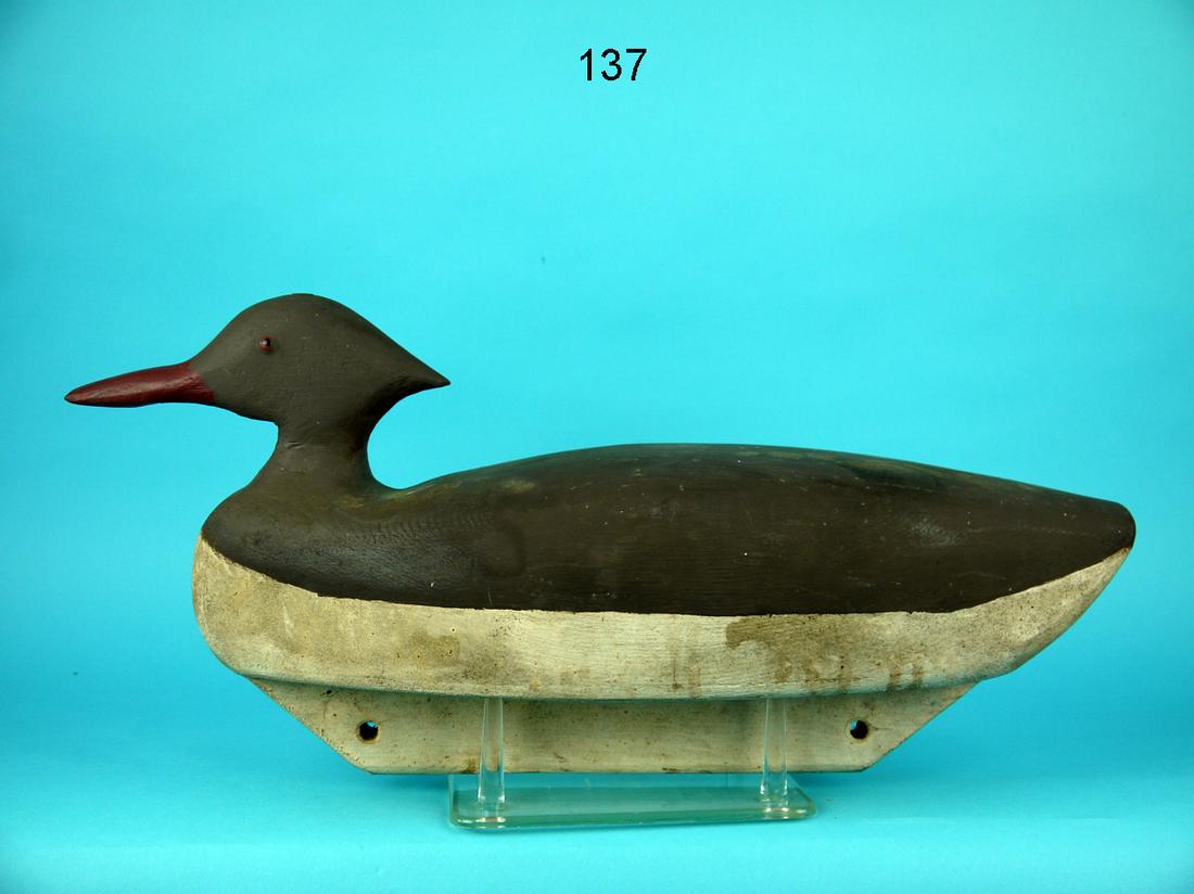MERGANSER HEN, B. TYLER (1 of 4)