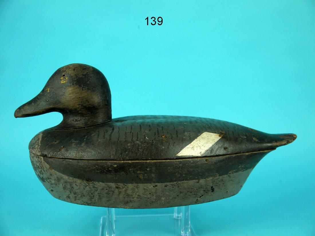 BROADBILL DRAKE, LONG ISLAND (1 of 5)