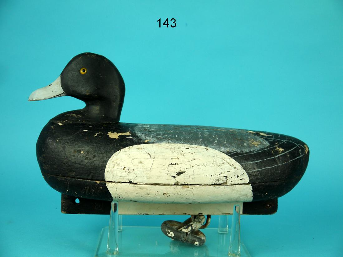 BLUEBILL DRAKE, J. BOYLE (1 of 4)