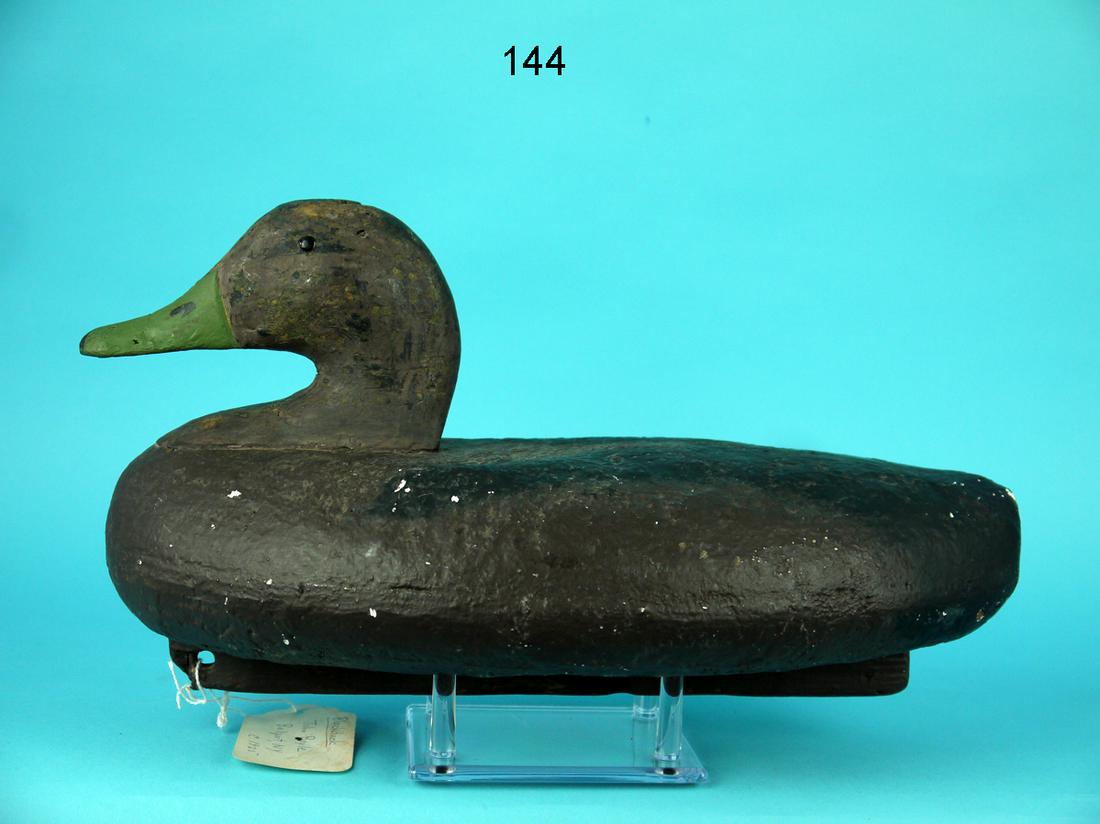 BLACK DUCK, J. BOYLE (1 of 4)