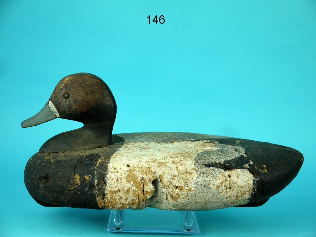 BROADBILL HEN, LONG ISLAND (1 of 4)