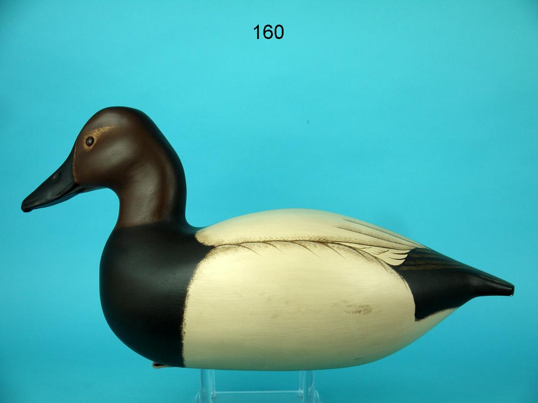 CANVASBACK DRAKE, G. COOKE (1 of 4)