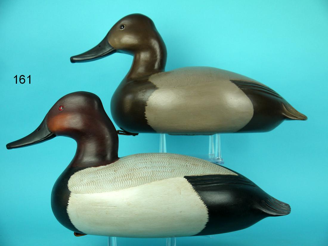 CANVASBACK PAIR, C. FENNIMORE (1 of 4)