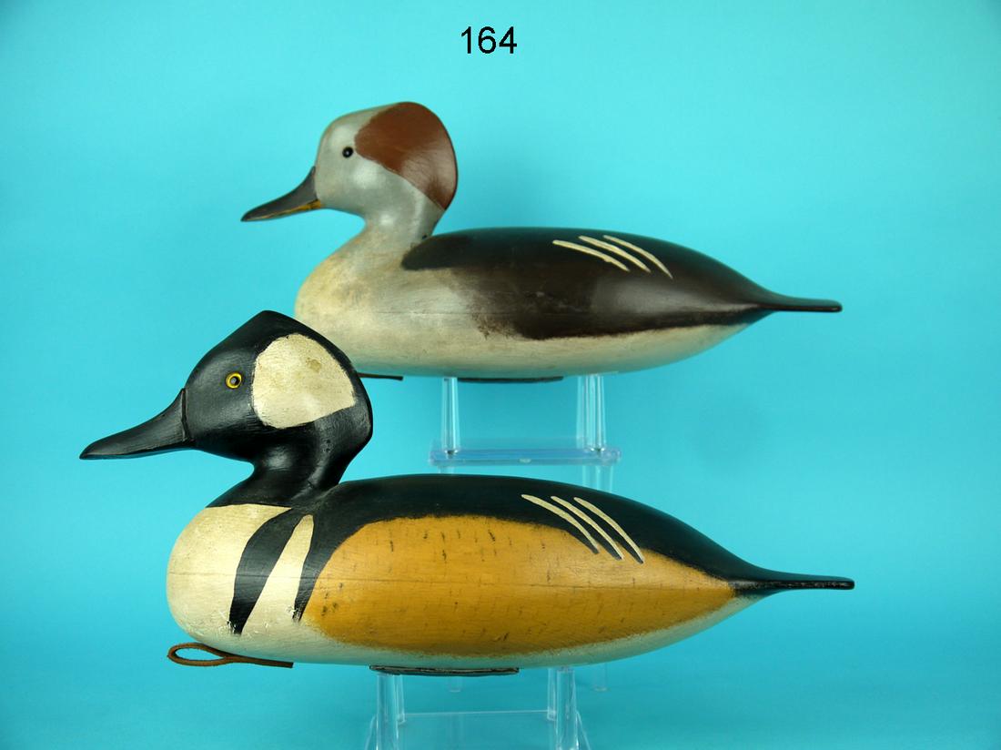 HOODED MERGANSER PAIR, D. HALL (1 of 4)