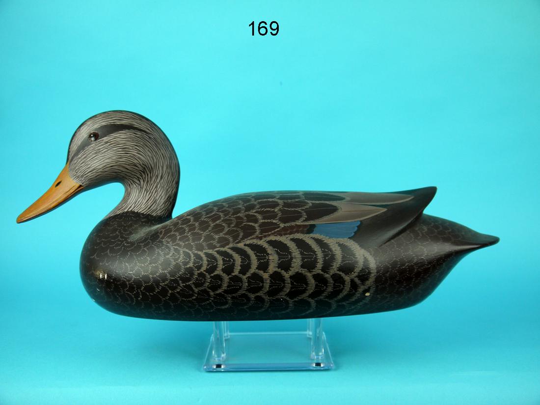 BLACK DUCK, B. WINTERBOTTOM (1 of 4)
