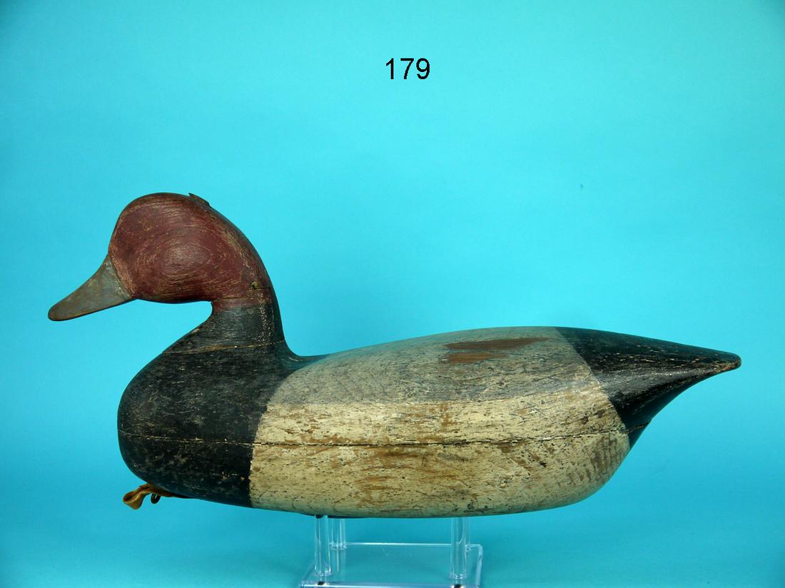 REDHEAD DRAKE, E. SHIBLEY (1 of 4)