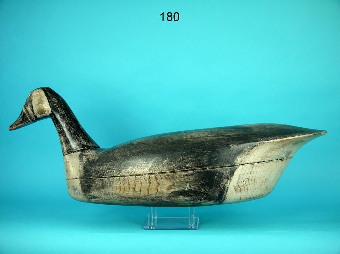 CANADA GOOSE, L. PARKER (1 of 4)