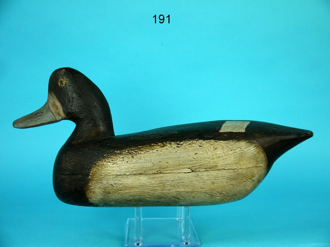 BLUEBILL HEN, R. CORLISS (1 of 4)