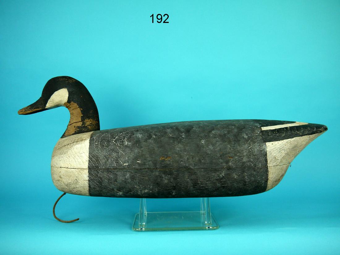 VERY EARLY CANADA GOOSE. R. CORLISS (1 of 4)