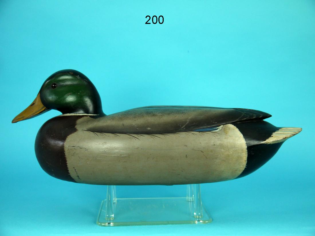 MALLARD DRAKE, D. ANDERSON: FINE MALLARD DRAKE by Dave Anderson, Morrisville, PA. Very good original paint and structural condition. Small sliver missing to underside of bill. Some in-use paint wear to tail edges and bottom edge