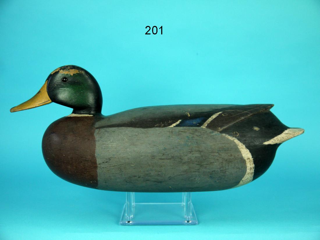 MALLARD DRAKE, R. ANDERSON (1 of 4)