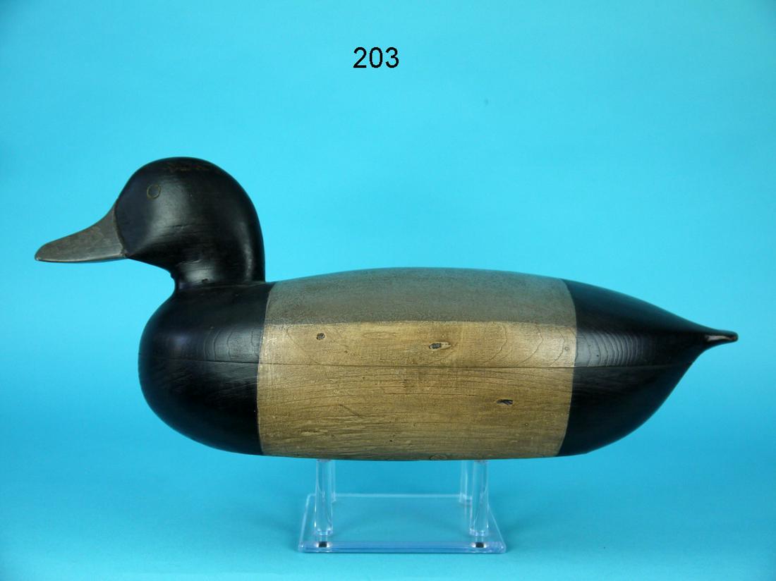 BROADBILL DRAKE, C. ALLEN (1 of 4)