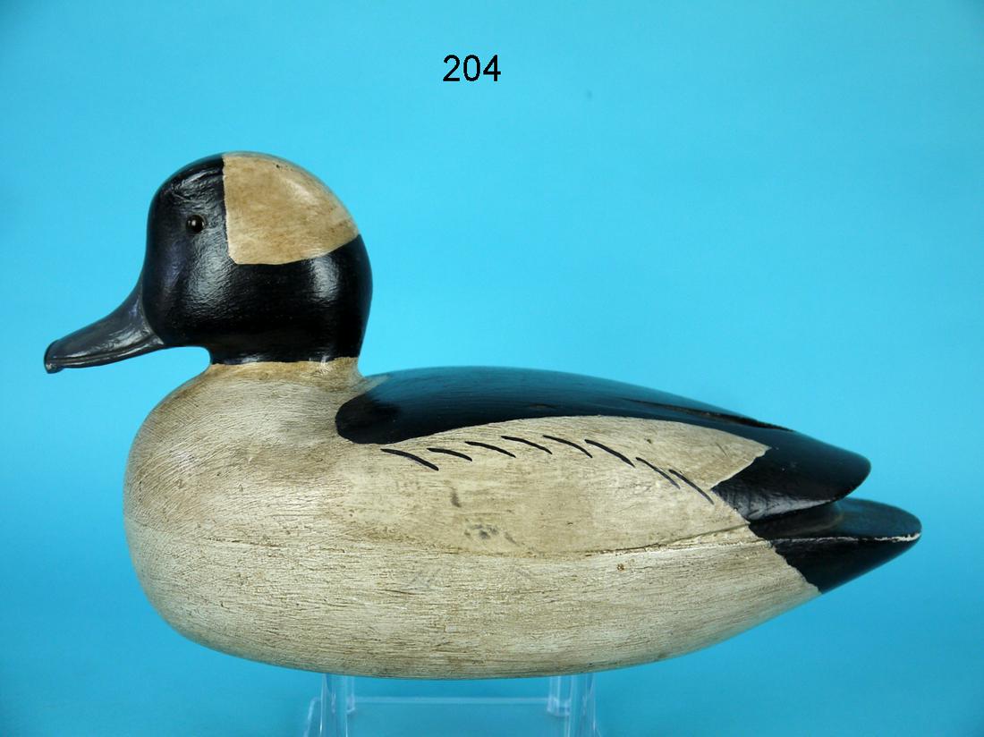 BUFFLEHEAD DRAKE, C. ALLEN (1 of 4)