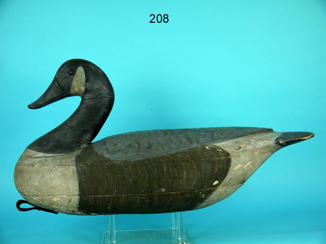 EARLY CANADA GOOSE, DELAWARE RIVER (1 of 4)