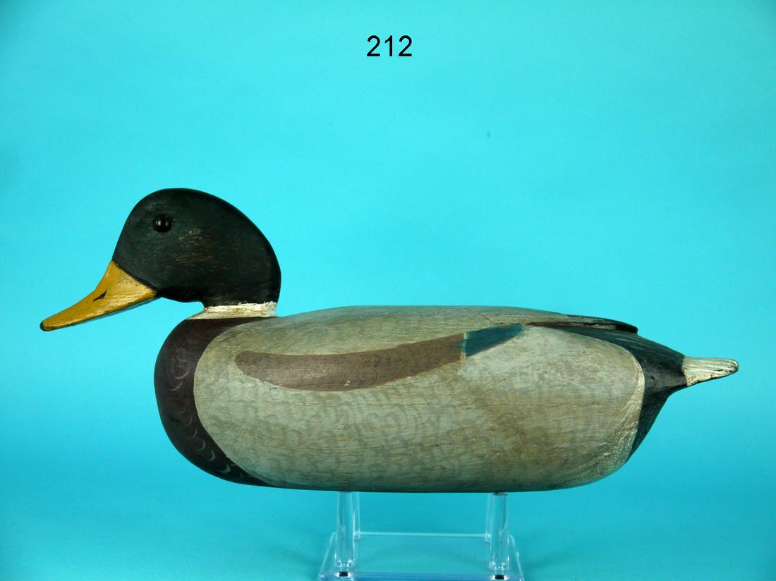 MALLARD DRAKE, DELAWARE RIVER (1 of 4)