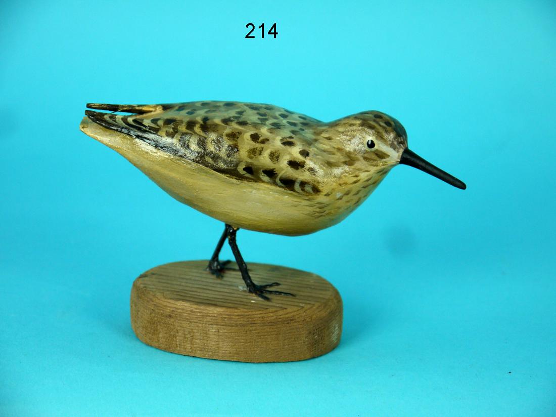 SANDERLING, P. PELTZ (1 of 4)