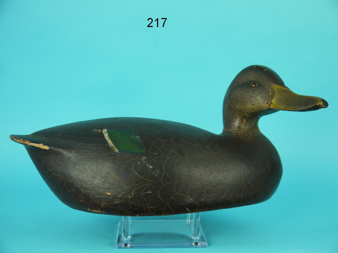 BLACK DUCK, L. SHERMAN (1 of 5)
