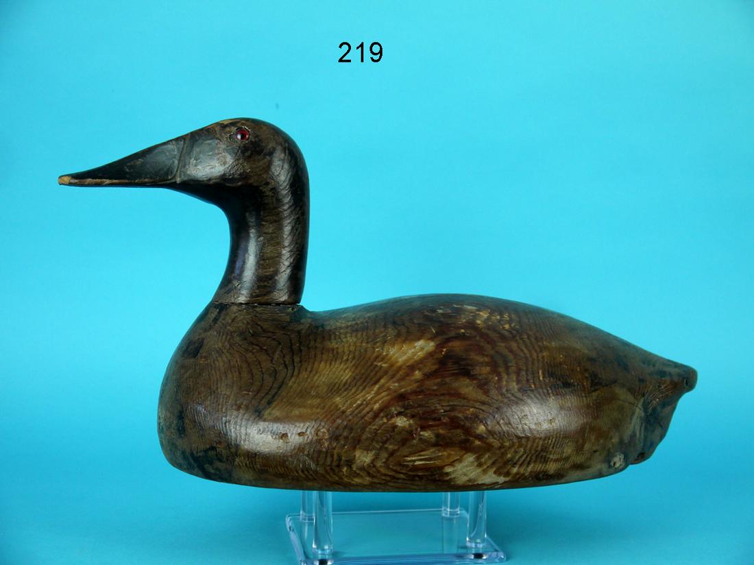 CANVASBACK DRAKE, E.F. KELLIE (1 of 4)