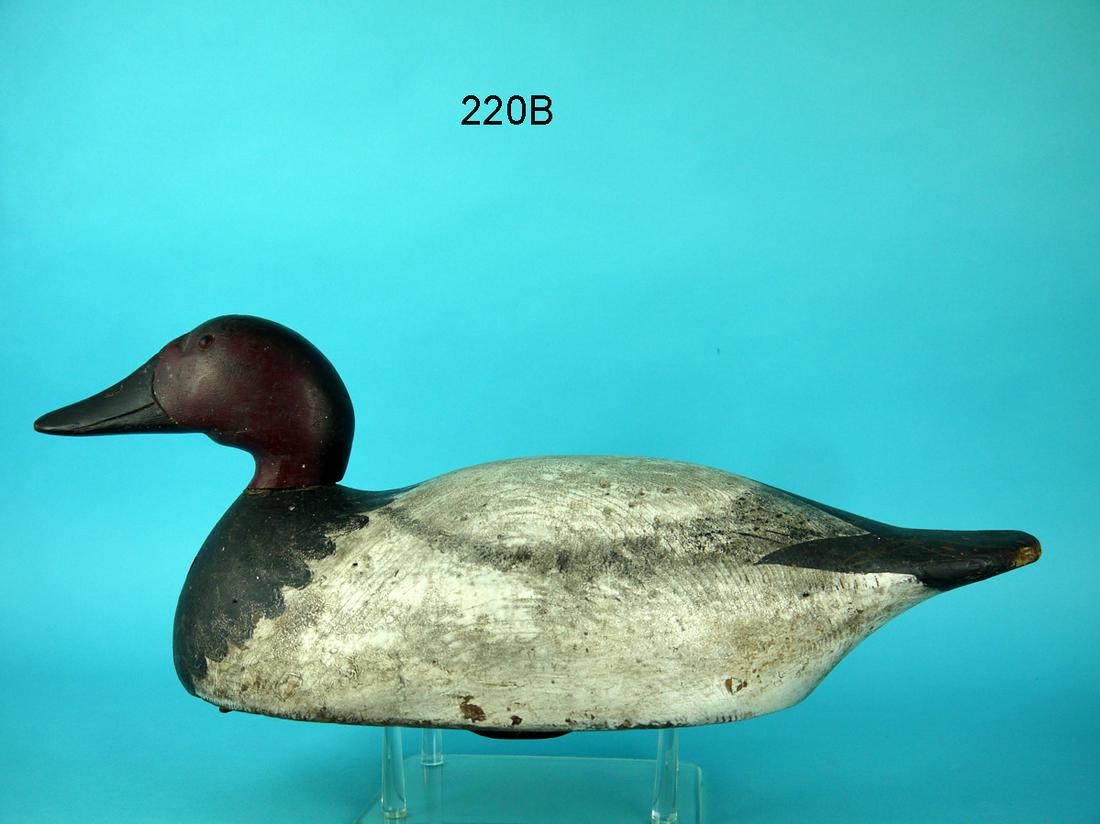 OVERSIZED CANVASBACK DRAKE, MASON (1 of 4)