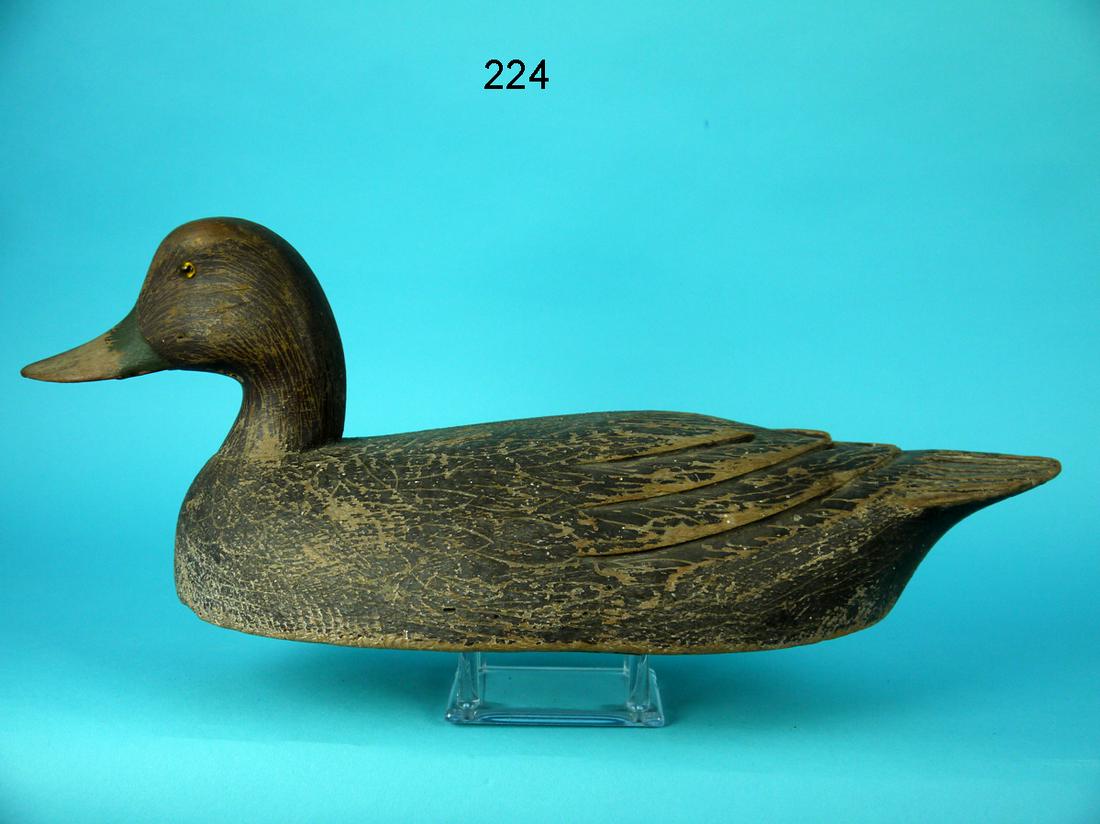 EARLY BLACK DUCK, O. LEBOEUF (1 of 4)