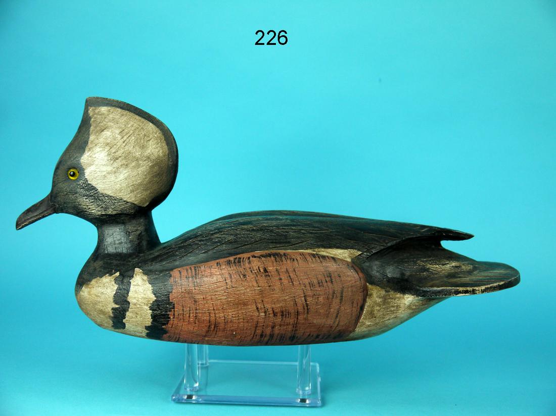 HOODED MERGANSER DRAKE, SOREL (1 of 4)