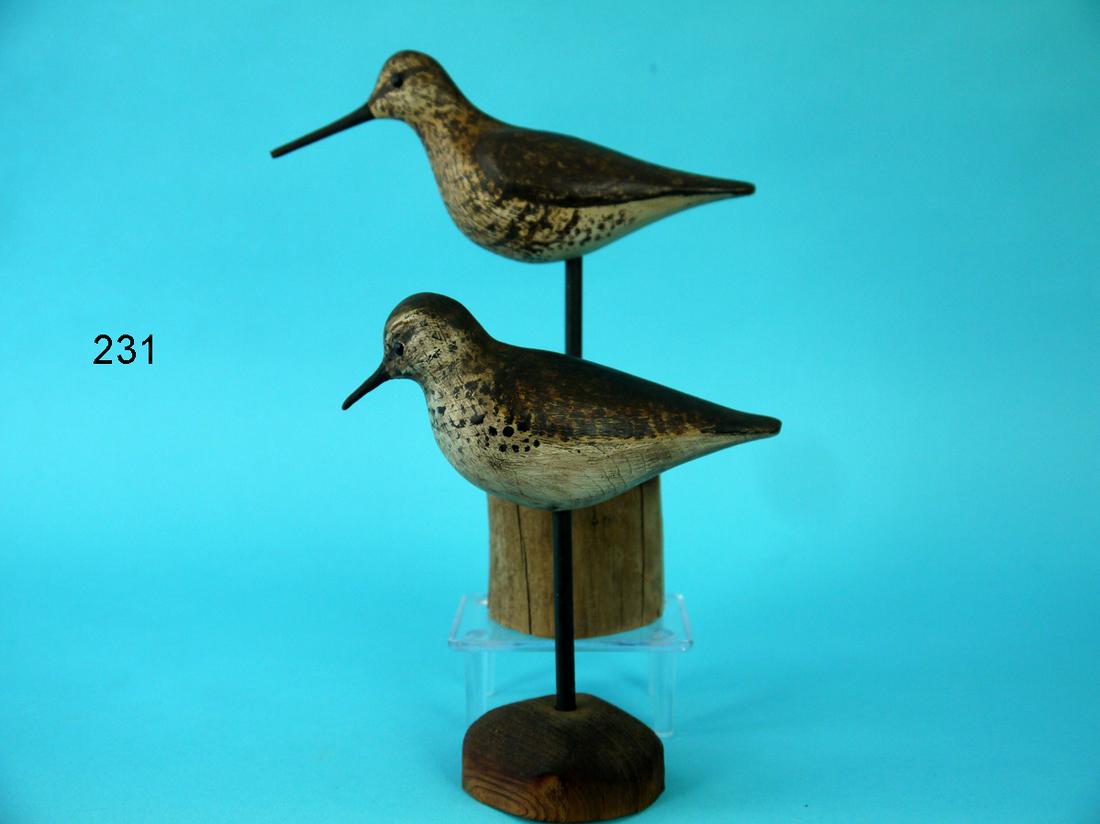 PEEP/HALF-SIZE DOWITCHER, S. MOREY (1 of 2)