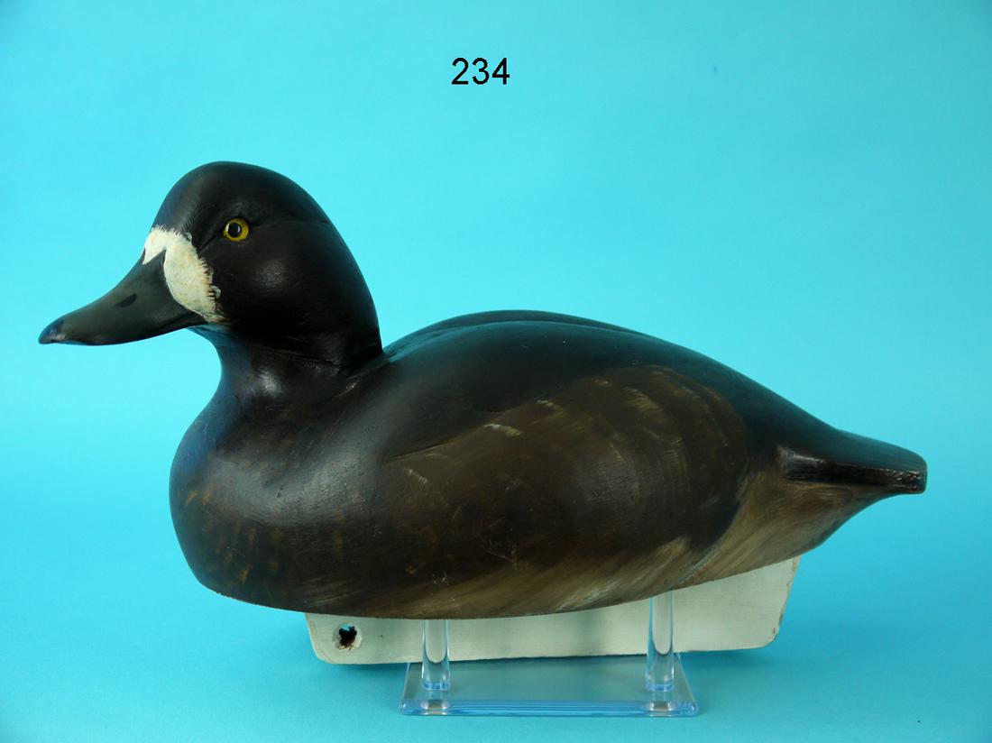 BLUEBILL HEN, K. SCHEELER (1 of 4)