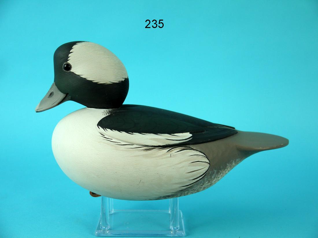 BUFFLEHEAD DRAKE, M. COLLINS (1 of 4)