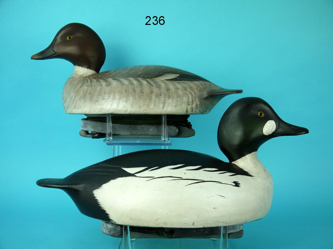 GOLDENEYE PAIR, M. HANSON (1 of 4)