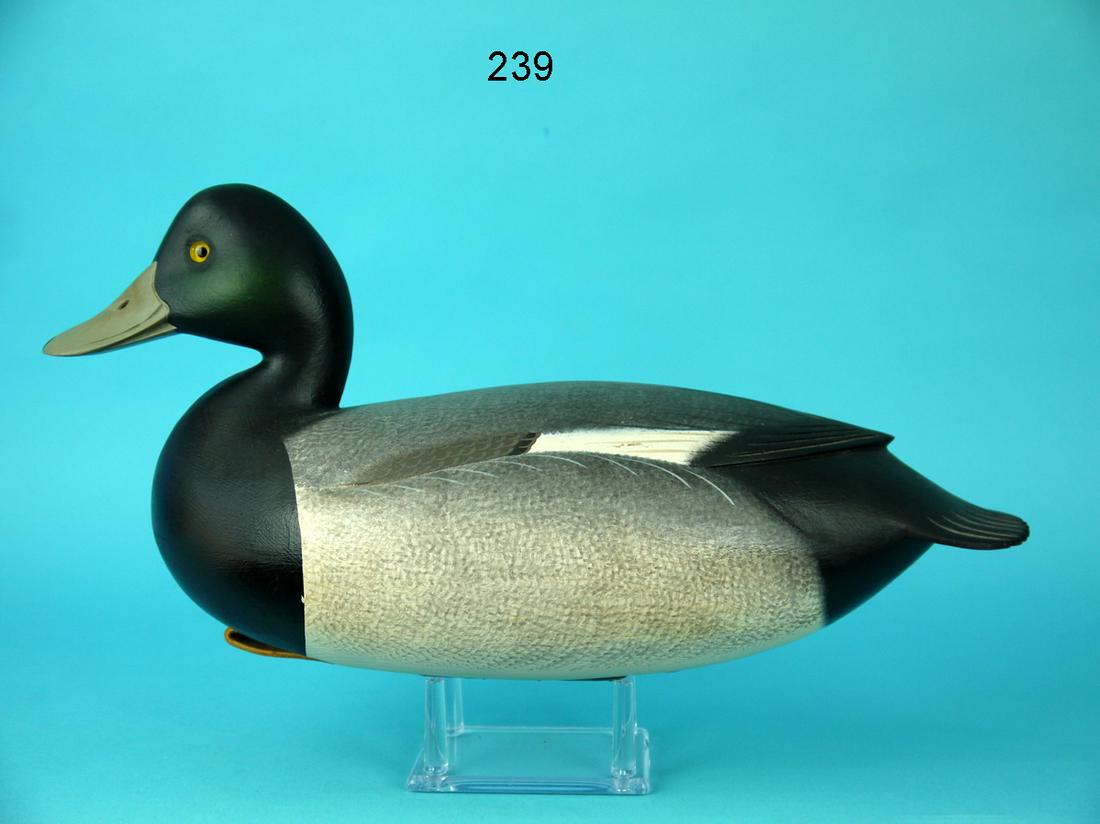 BROADBILL DRAKE, F.C. BROWN, JR. (1 of 4)