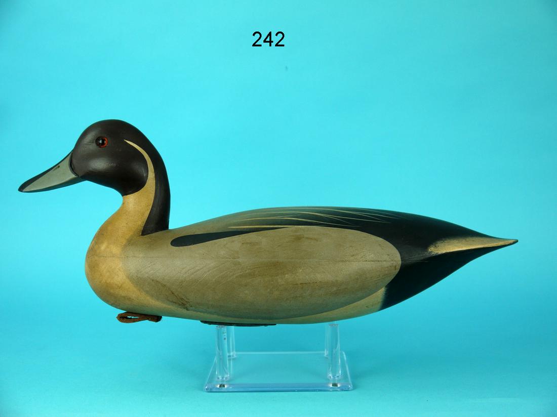 PINTAIL DRAKE, F.C. BROWN, JR. (1 of 4)