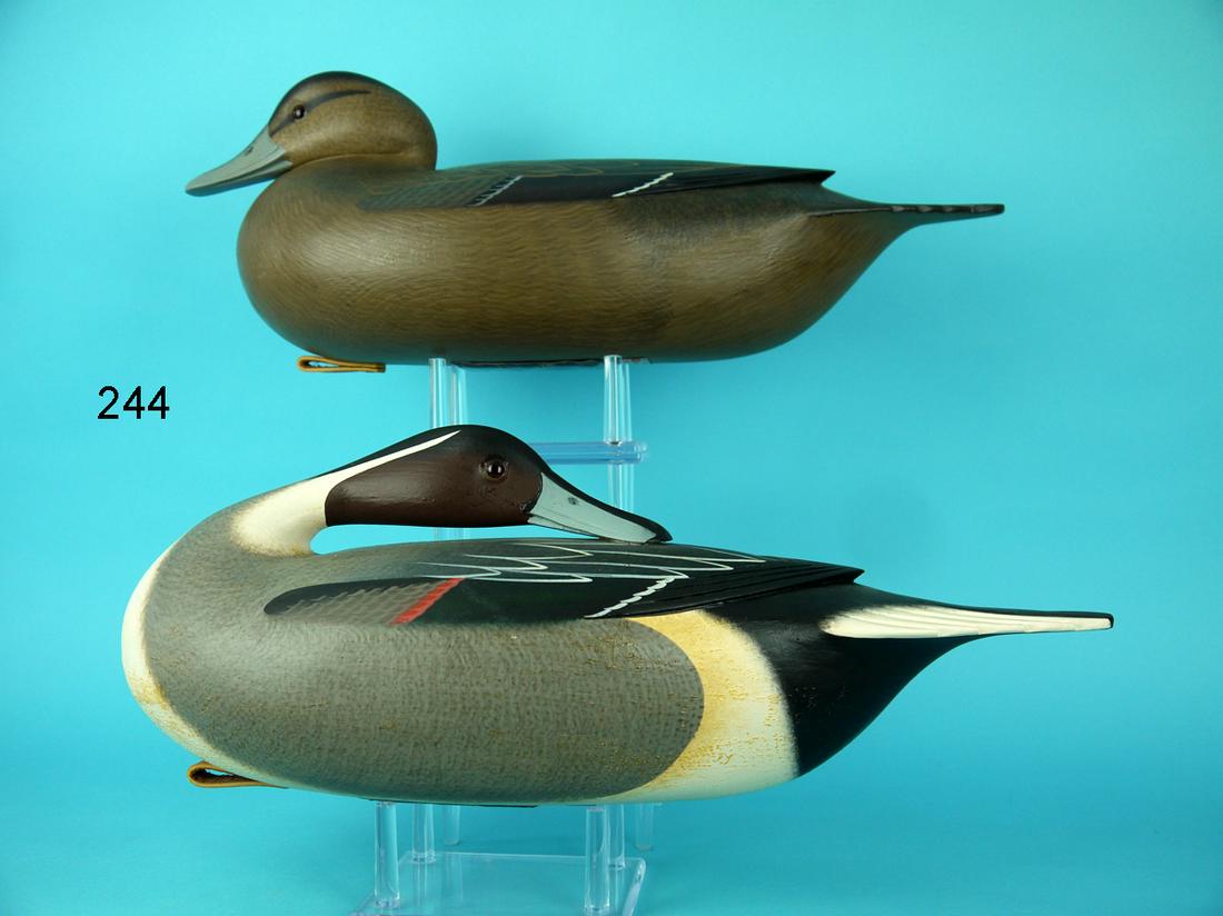 PINTAIL PAIR, F.C. BROWN, JR. (1 of 4)