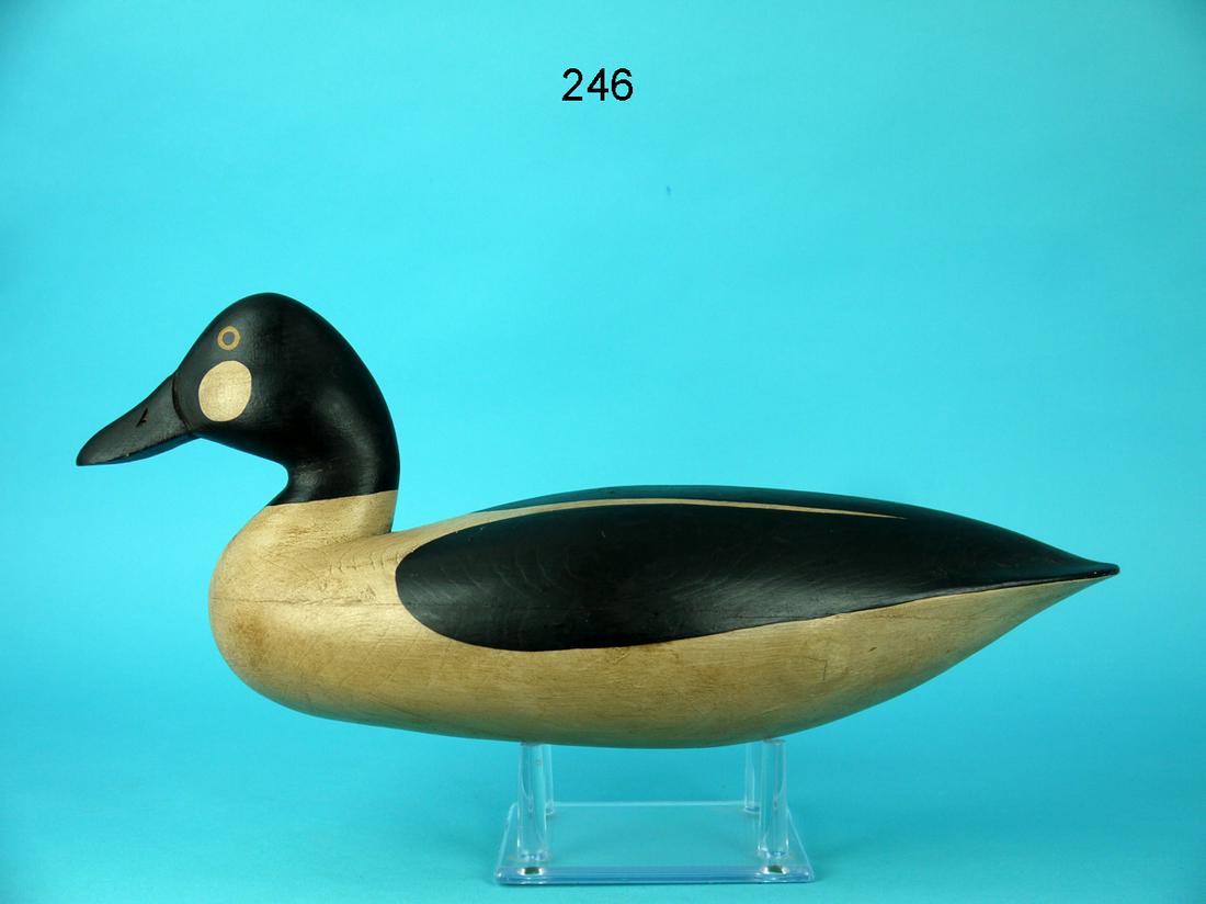 FINE GOLDENEYE DRAKE, F.C. BROWN, JR. (1 of 4)