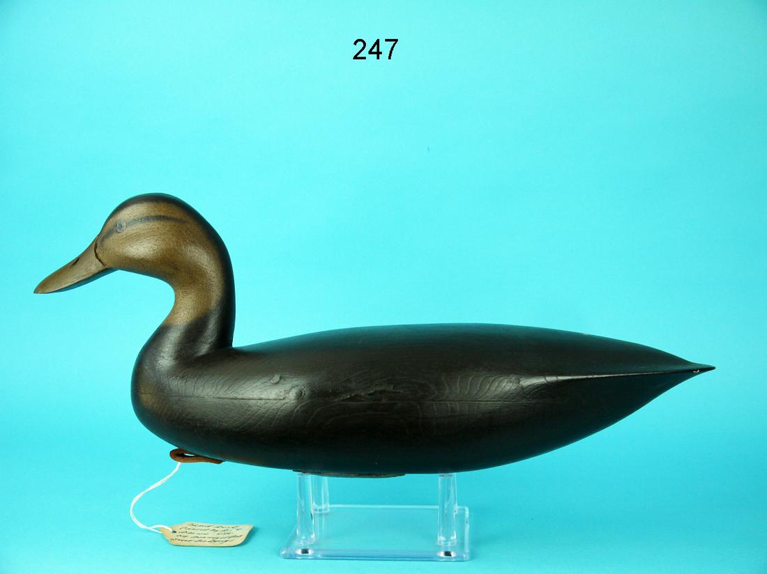 BLACK DUCK, F.C. BROWN, JR. (1 of 4)
