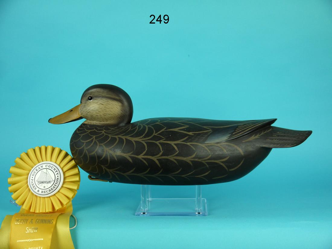 BLACK DUCK, M. GEIS (1 of 4)