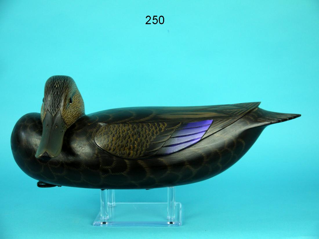 BLACK DUCK, J. HILLMAN (1 of 4)