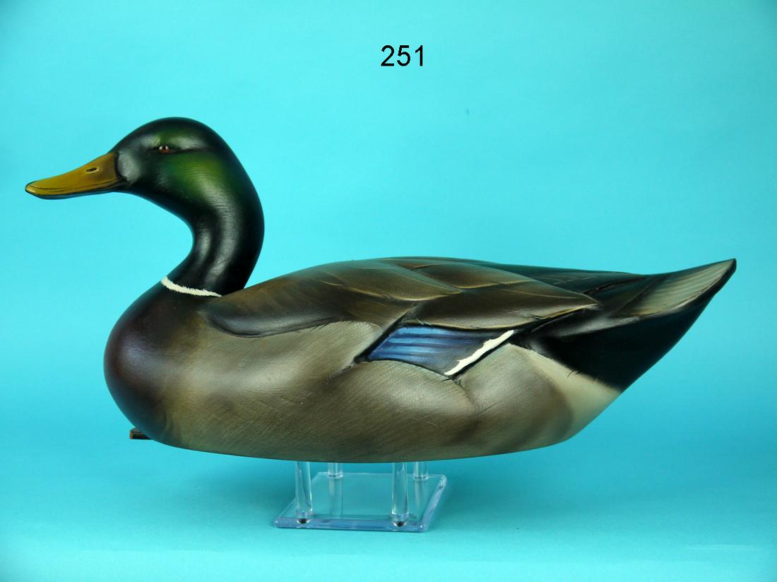 FINE MALLARD DRAKE, S. SUTTON (1 of 4)