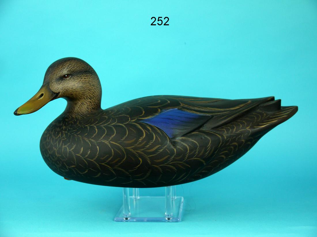 BLACK DUCK, SEAN SUTTON (1 of 4)