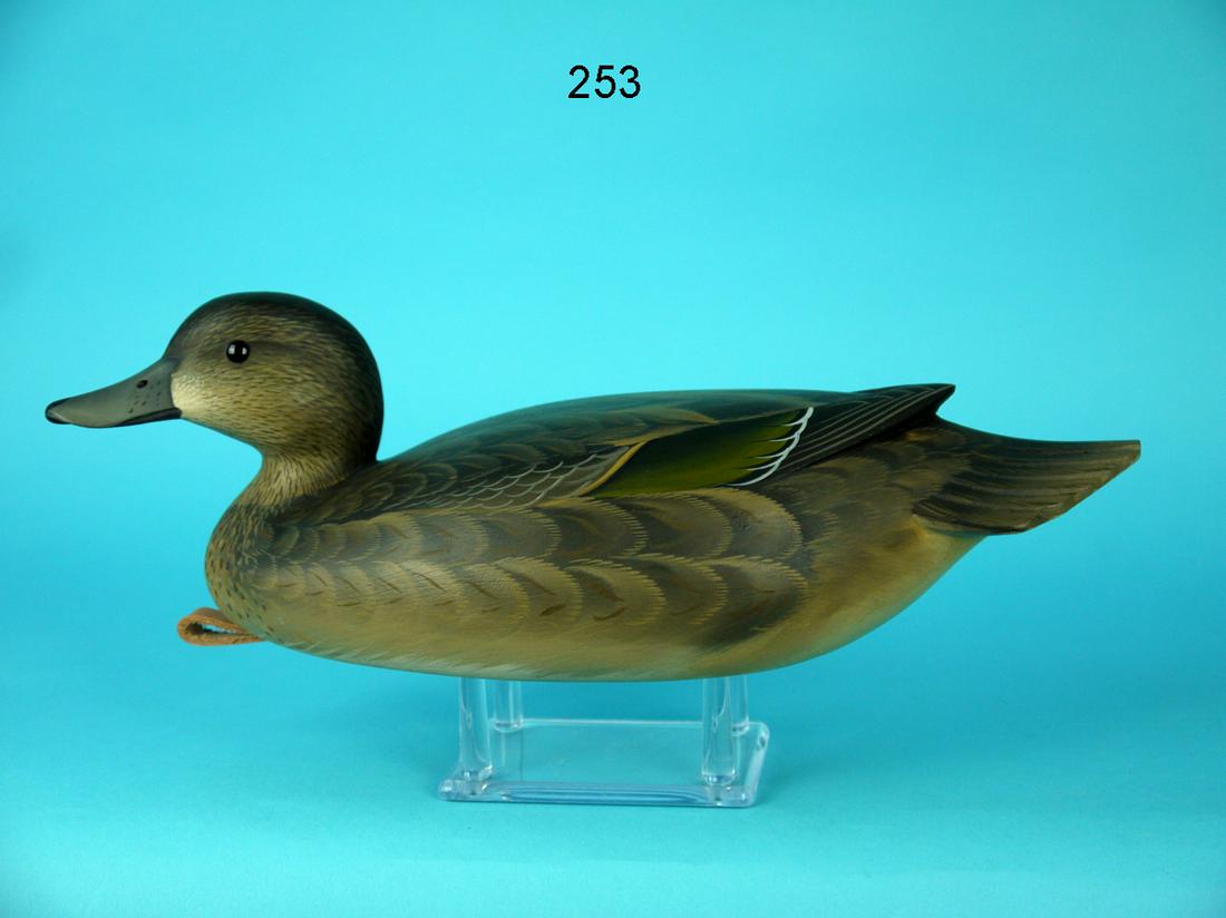GREEN WING TEAL HEN, G. STRUNK (1 of 4)