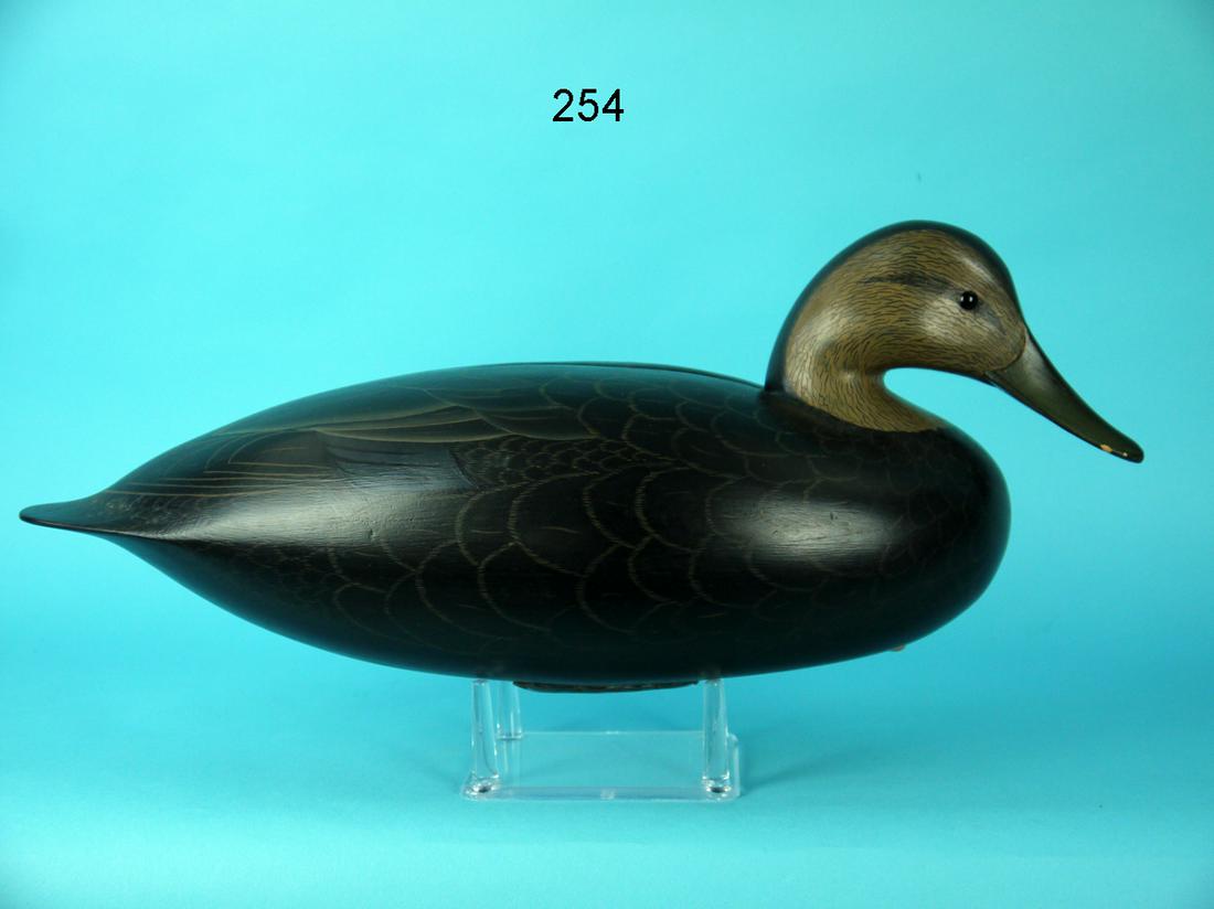 BLACK DUCK, G. STRUNK (1 of 4)