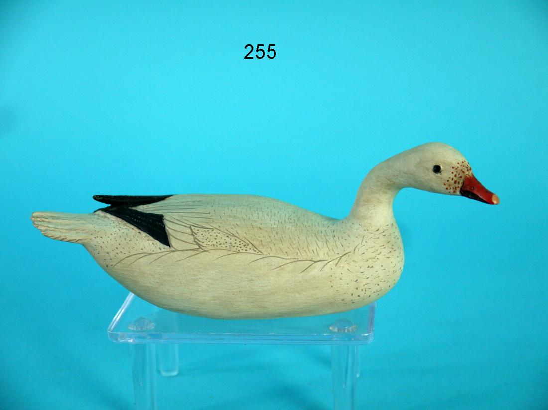 MINIATURE SWIMMING SNOW GOOSE, B. WHITE (1 of 4)